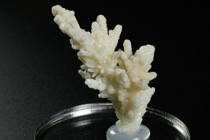Intricate, Fluorescent Aragonite Formation - Nevada #349548